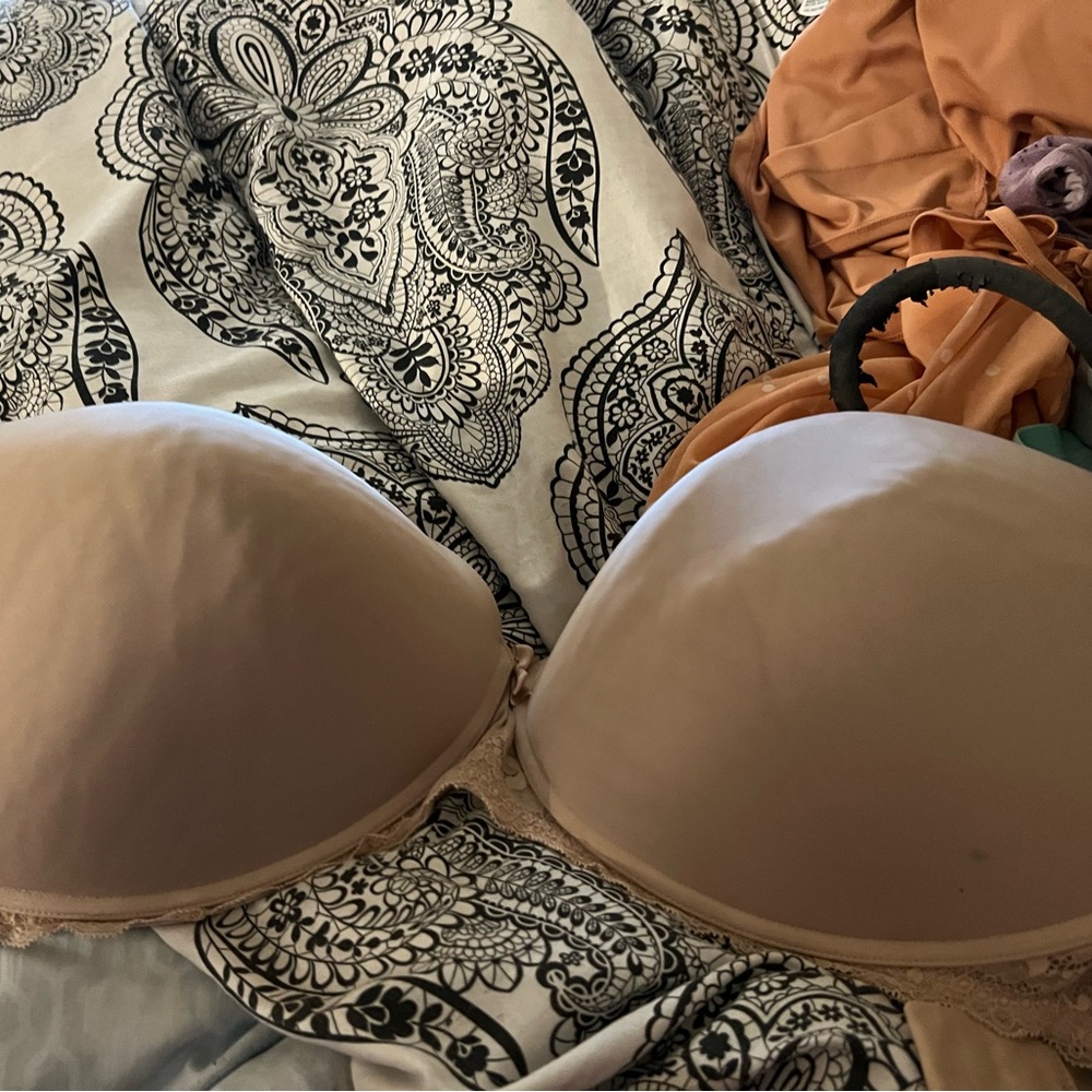 Torrid bra